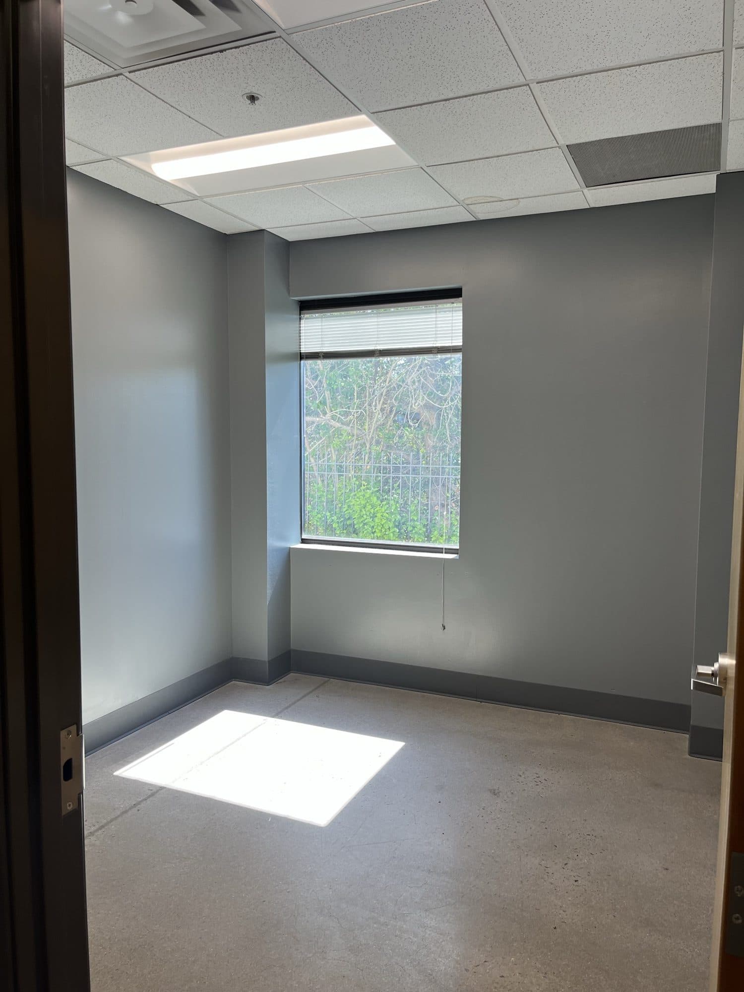 Office 6 — empty, with the window and trees